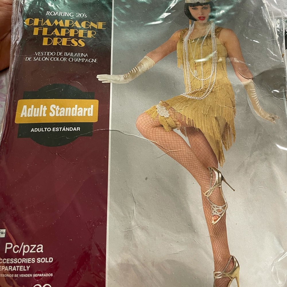 Flapper dress costume